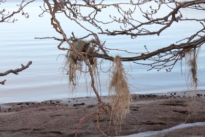 IMG_0072.JPG