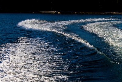 IMG_7431.jpg